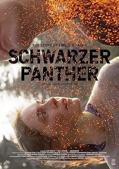  فیلم Schwarzer Panther 2014