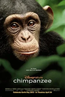  مستند Chimpanzee 2011