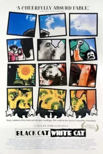  فیلم Black Cat, White Cat 1998