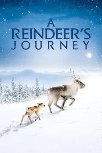 فیلم  Ailos Reise 2018