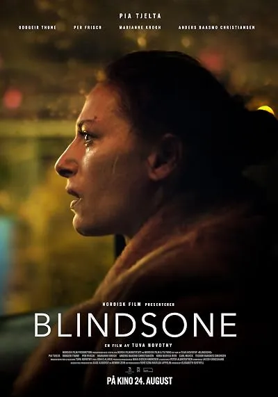 فیلم Blind Spot 2018